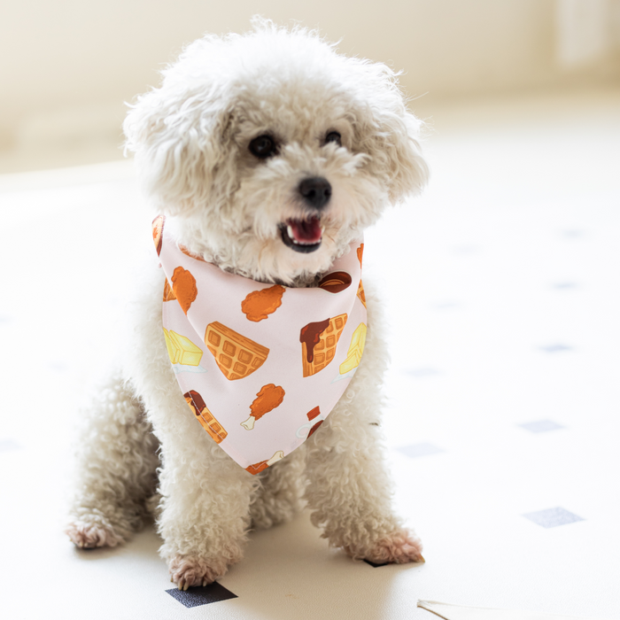 Dog Bandana Chicken & Waffles Print Scarf