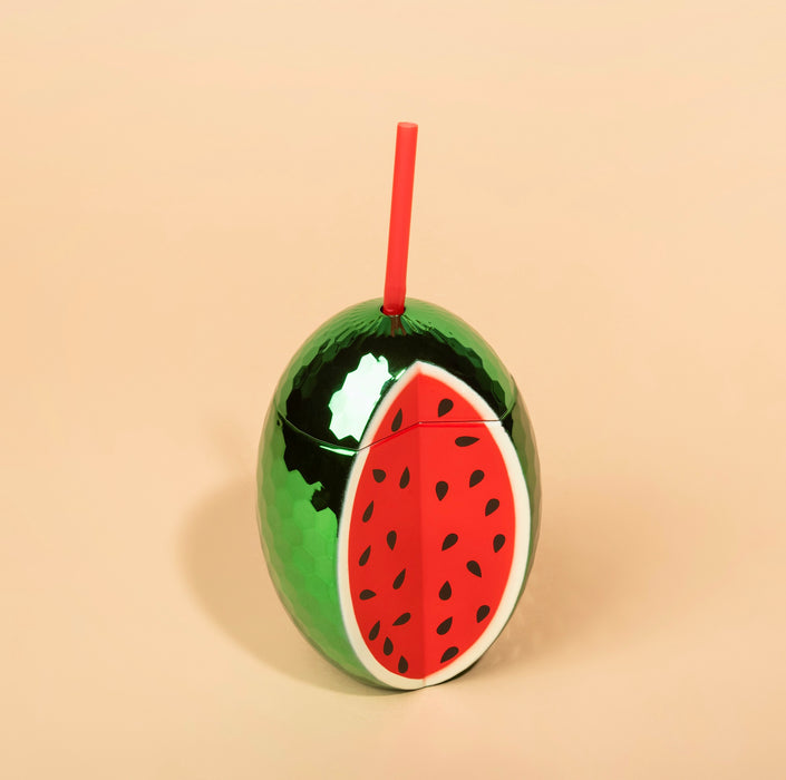 Watermelon Plastic Tumbler with Reusable Straw - Set of 2