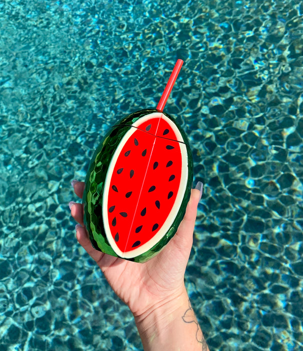 Watermelon Plastic Tumbler with Reusable Straw - Set of 2