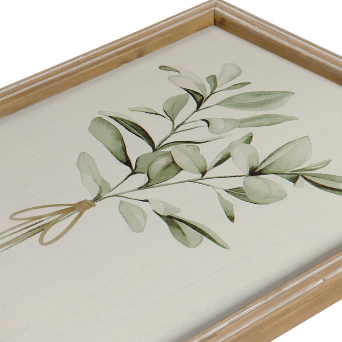 Herb Plant Collection - Decorative Wall Art