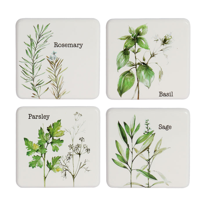 Herb Plant Collection - Set of 4 Design Coasters - Basil, Rosemary, Parsley, Sage