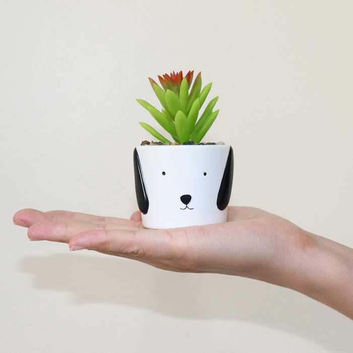 Miniature Faux Succulent Plant in Dog Puppy Style White Planter