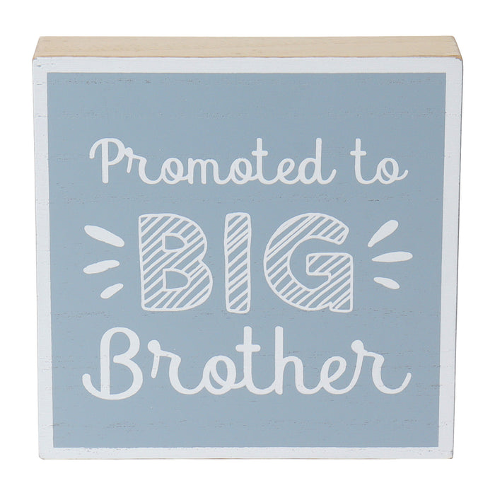 "Promoted To" Kids Sibling Reveal Box Sign