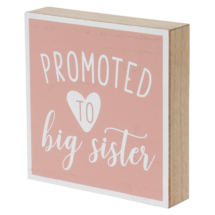 "Promoted To" Kids Sibling Reveal Box Sign