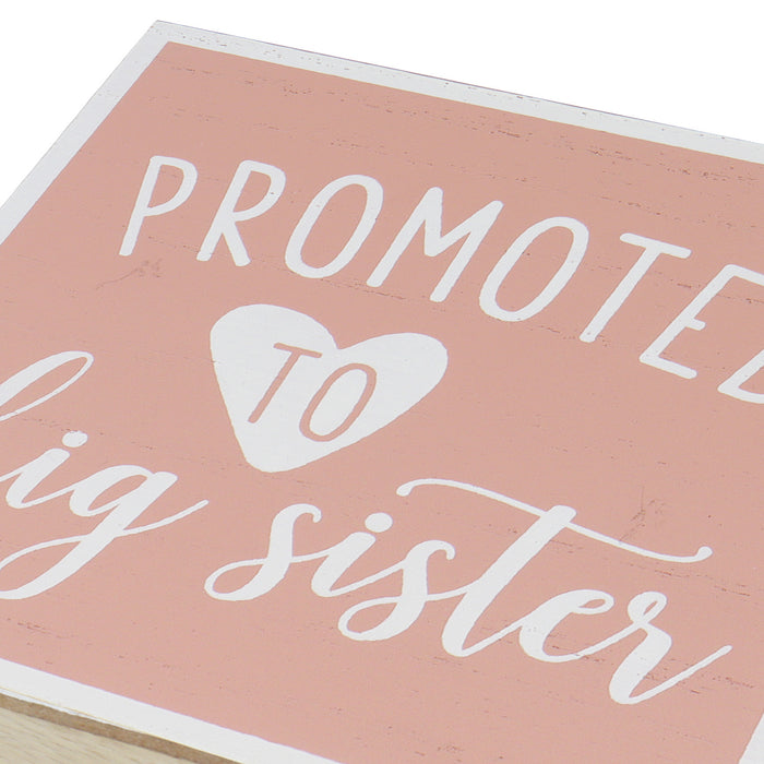 "Promoted To" Kids Sibling Reveal Box Sign